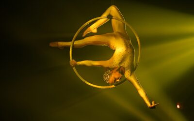 Aerial Hoop by Iolanta
